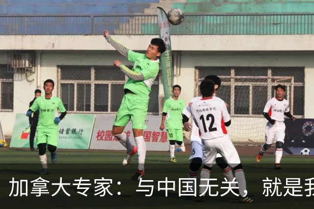 加拿大专家：与中国无关，就是我们干的